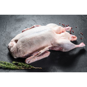 Gęś (tuszka) 1 szt. - 4,3 kg