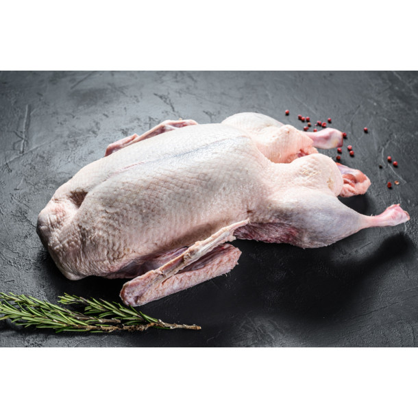 Gęś (tuszka) 1 szt. - 4,3 kg